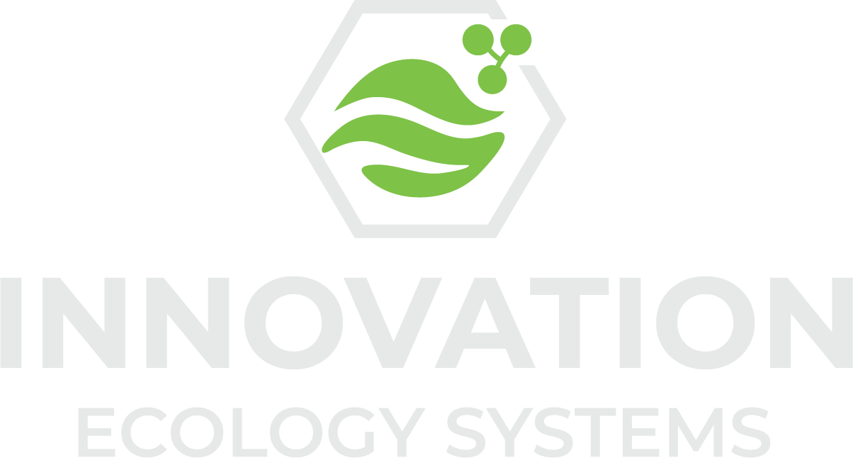 INNOVATION ECOLOGY SYSTEMS